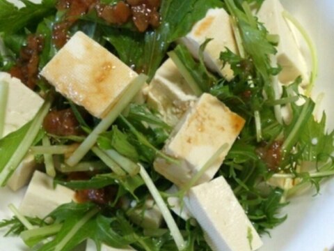 水菜と豆腐の梅ゴマポンサラダ